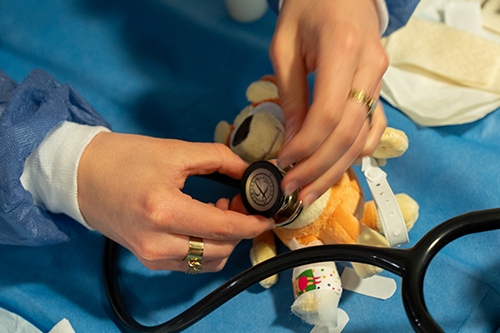 L&rsquo;Hôpital des Nounours dédramatise les soins à l&rsquo;hôpital